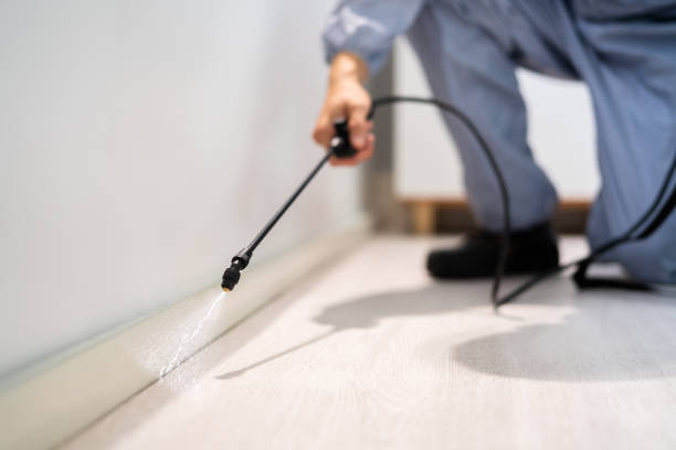 Licensed Pest Control service in San Rafael, CA - Show Me Pest Control