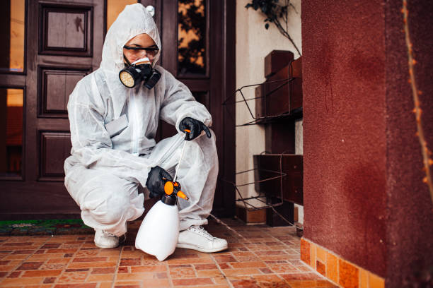 Reliable Wasp Removal contractor in San Rafael, CA by Show Me Pest Control